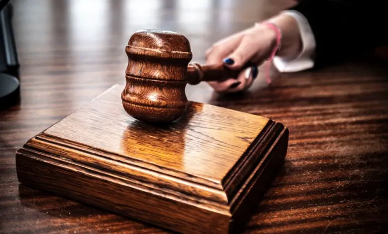 My Husband Claimed I Built Nothing — Then the Judge Read the First Ownership Record My Husband Claimed I Built Nothing — Then the Judge Read the First Ownership Record