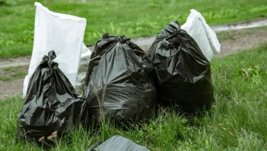 My Neighbor Carried Huge Black Trash Bags to the Curb Every Morning—Then I Looked Inside One