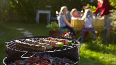 My Daughter-in-Law Called Me a “Plague” at the Family BBQ—She Forgot I Was Paying Their Mortgage