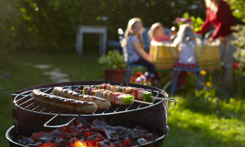 My Daughter-in-Law Called Me a “Plague” at the Family BBQ—She Forgot I Was Paying Their Mortgage