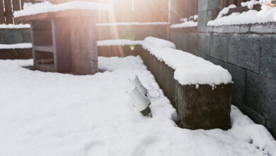 I Woke Up to a Five-Foot Block of Ice in My Yard—What Melted Out of It Had Been Waiting Three Years