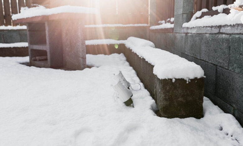 I Woke Up to a Five-Foot Block of Ice in My Yard—What Melted Out of It Had Been Waiting Three Years