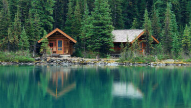 My Family Planned a 20-Person Weekend at My Lake House Without Asking—So I Changed the Locks