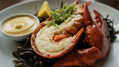 My Daughter-in-Law Served Everyone Lobster Except Me—Then a Bank Statement Revealed What My Son Had Done