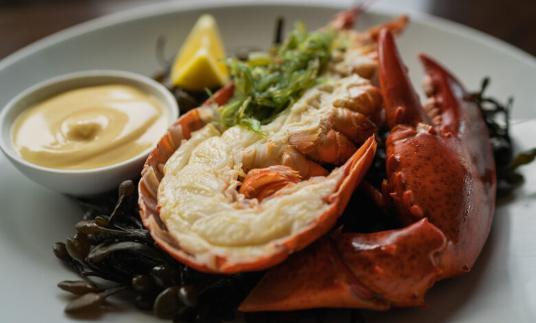 My Daughter-in-Law Served Everyone Lobster Except Me—Then a Bank Statement Revealed What My Son Had Done