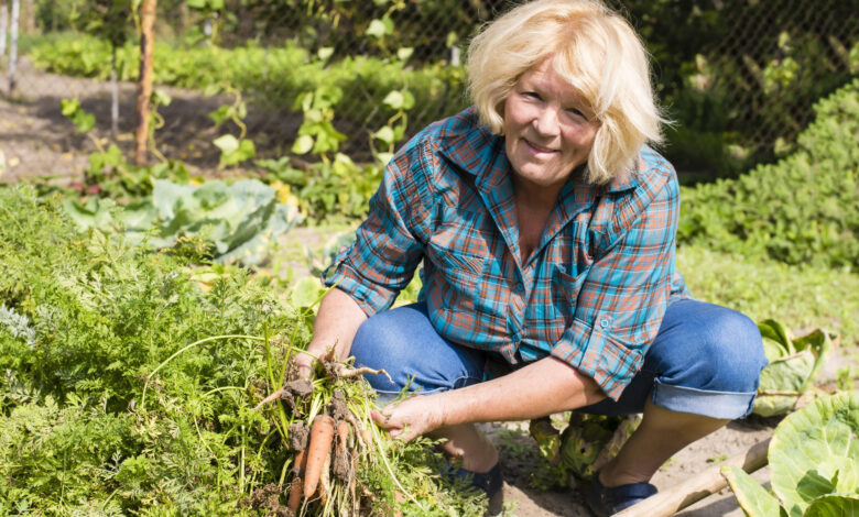 I Bought a Montana Farm for a Quiet Retirement—Then My Son Arrived With Ten Guests and Told Me to Go Back to the City I Bought a Montana Farm for a Quiet Retirement—Then My Son Arrived With Ten Guests and Told Me to Go Back to the City