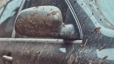 My Brother-in-Law Ruined the New Car We Saved Three Years to Buy—Then My Husband Finally Chose a Side