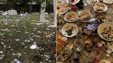 My Sister-in-Law Destroyed Grandma’s Garden for Her Wedding—So I Gave Her 286 Reasons to Come Back