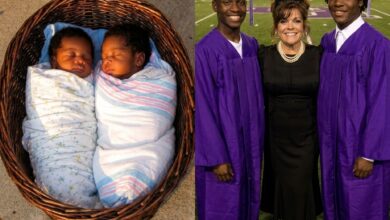 I Adopted Two Baby Boys Left on My Doorstep—Twenty Years Later, They Told Me Who Had Really Put Them There