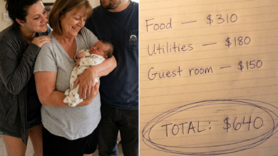 My Son-in-Law Charged Me 0 After I Helped With His Newborn—Then He Learned What My “Stay” Had Really Cost