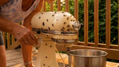 My Neighbor Returned My Mother’s 36-Year-Old Mixer Dirty and Broken—So the Next Time She Asked to Borrow Something, I Handed Her a Contract