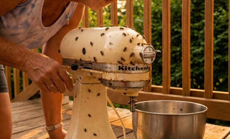 My Neighbor Returned My Mother’s 36-Year-Old Mixer Dirty and Broken—So the Next Time She Asked to Borrow Something, I Handed Her a Contract