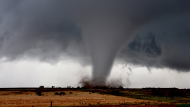 My Son Turned Me Away After a Tornado Destroyed My Home—Then My First Love Said Three Words I Never Expected