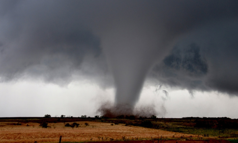 My Son Turned Me Away After a Tornado Destroyed My Home—Then My First Love Said Three Words I Never Expected My Son Turned Me Away After a Tornado Destroyed My Home—Then My First Love Said Three Words I Never Expected