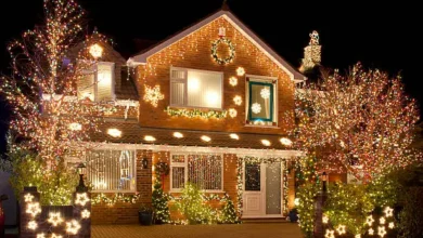 My Father Told Me Not to Come Home for Christmas—Then He Saw Where I Spent Christmas Eve on National News