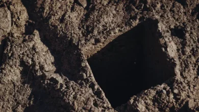 I Let My Neighbor Use My Backyard for One Afternoon—Then I Came Home to a Massive Hole in the Ground