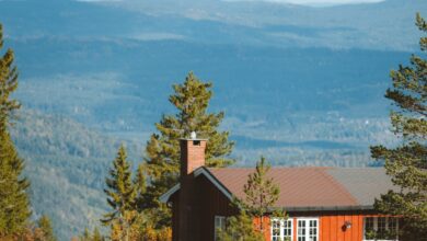 The HOA Built a Luxury Cabin on My Montana Pasture—Then I Arrived With the Excavators