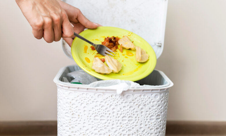 My Mother-in-Law Threw Away the Dinner I Ordered While I Had a 102° Fever — My Husband’s Response Left Her Speechless