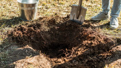 My Tenants Dug an Unauthorized Pool — Then I Found a 245-Year-Old Metal Box Beneath It