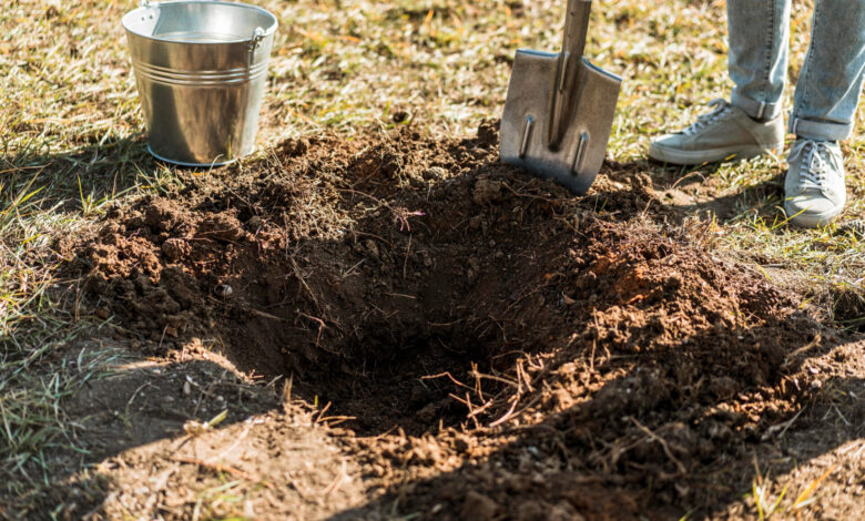 My Tenants Dug an Unauthorized Pool — Then I Found a 245-Year-Old Metal Box Beneath It My Tenants Dug an Unauthorized Pool — Then I Found a 245-Year-Old Metal Box Beneath It