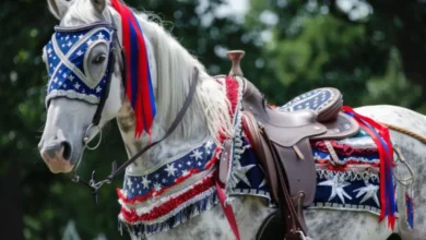 A Parade Committee Rejected a Fatherless Girl and Her One-Eyed Horse — Then 30 Veterans Marched In Beside Her
