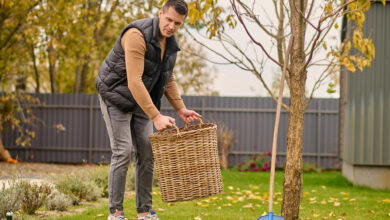 My Brother-in-Law Kept Dumping Yard Waste Into My Garden — So I Let His Own Mess Become the Evidence