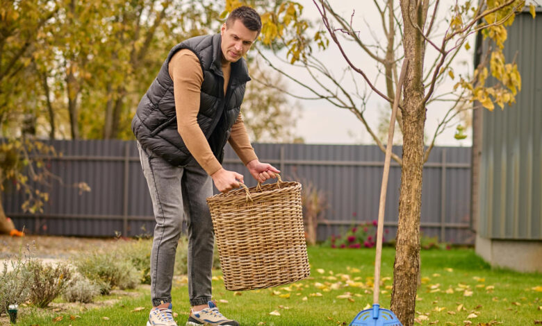 My Brother-in-Law Kept Dumping Yard Waste Into My Garden — So I Let His Own Mess Become the Evidence My Brother-in-Law Kept Dumping Yard Waste Into My Garden — So I Let His Own Mess Become the Evidence