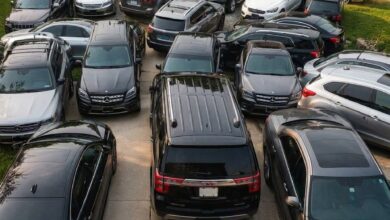 My Neighbor Used My Driveway for Six Months—Then She Woke Up to 30 Cars Blocking Her In