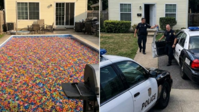 I Woke Up to Find Millions of Orbeez Filling Our Pool—Then Police Pulled Something From the Bottom That Had Been Missing for 3 Years