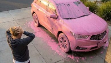 My Neighbor Painted My Entire Car Pink—The Next Morning, She Pounded on My Door Screaming About Her Own Car