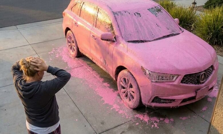 My Neighbor Painted My Entire Car Pink—The Next Morning, She Pounded on My Door Screaming About Her Own Car