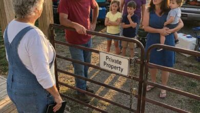 My Family Mocked My Quiet Farm Life and Removed Me From Their Group Chat—A Week Later, They Arrived With Suitcases and Found My Gate Locked